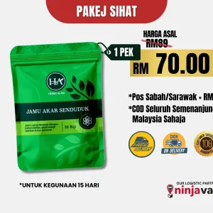 JAMU SENDUDUK 1 PAKET