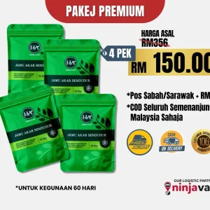 JAMU SENDUDUK 4 PAKET